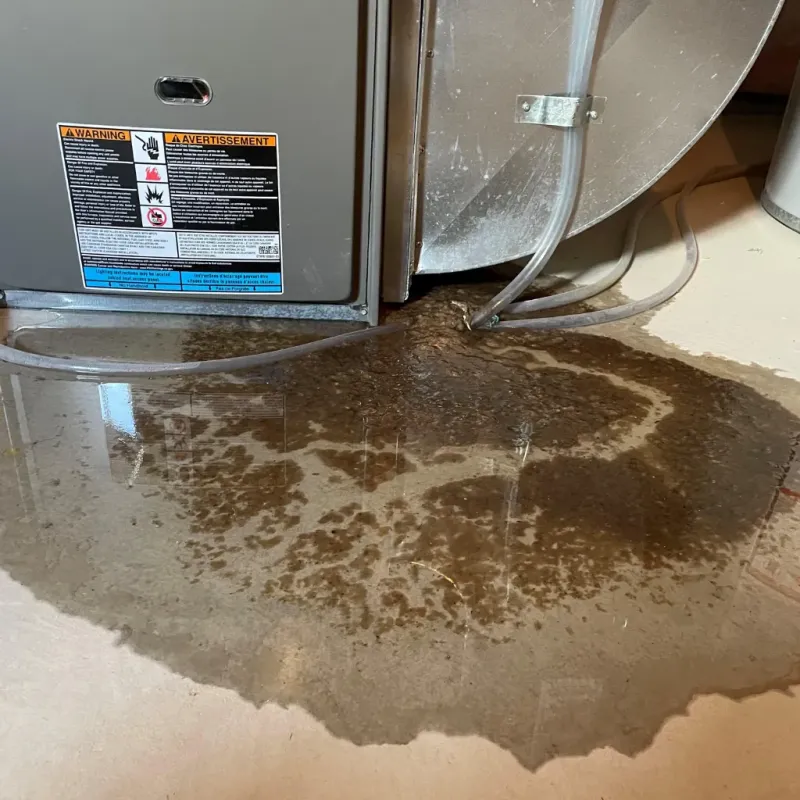 Appliance Leak Cleanup in Oak Creek, WI